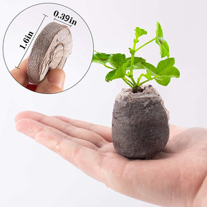 Hạt Giống Khối <span class=keywords><strong>Coir</strong></span> Phích Cắm Bán Buôn Coco <span class=keywords><strong>Coir</strong></span> Viên Coco Than Bùn Viên Cho Trồng Cây - Product Image 4