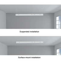 Popular CCT sintonizable y tira lineal de potencia LED Batten Light Shop Light con control remoto de sombra blanca y control de voz a través de WiFi