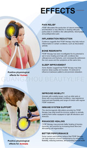 Xách tay từ pemf điều trị thiết bị pmst Vòng Pro Max pemf ngựa phục hồi chức năng thiết bị vật lý trị liệu - Product Image 3