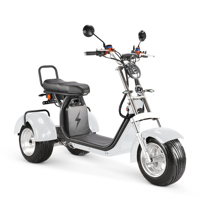Scooter électrique à trois roues 2026, unisexe, pliable, étanche, batterie au lithium, tricycle cargo, 3 roues, autonomie de 60 à 80 km