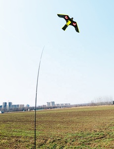 <span class=keywords><strong>Cerf</strong></span>-<span class=keywords><strong>volant</strong></span> répulsif <span class=keywords><strong>pour</strong></span> <span class=keywords><strong>oiseaux</strong></span> professionnel <span class=keywords><strong>pour</strong></span> usage agricole et de jardin |   Éloigner <span class=keywords><strong>les</strong></span> <span class=keywords><strong>oiseaux</strong></span> - Product Image 4