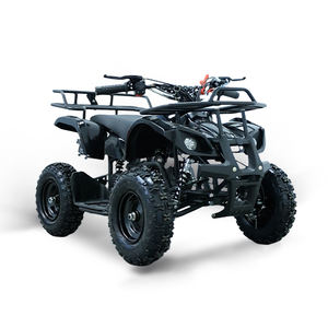 Fabricant vérifié, <span class=keywords><strong>quad</strong></span> à deux temps de 50 cm3, <span class=keywords><strong>quad</strong></span> pour enfants haute puissance, mini <span class=keywords><strong>quad</strong></span> 4x4 - Product Image 4