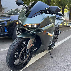 Motociclette Moto Elettrica da Strada Motore ad Alta Velocità Potente Moto Elettrica E-bike - Product Image 5