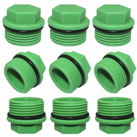 Bouchon de tuyau en plastique PPR 1/2" 3/4" à filetage BSP mâle, embout hexagonal avec joint torique en caoutchouc PN25 pour raccords de conduites d'eau