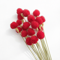 Penjualan Panas Bunga Kering Gomphrena Globosa Buatan Tangan untuk Natal, Pernikahan & Hari Valentine Ramah Lingkungan Tahan Lama