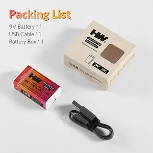 Baterai Lithium USB Paling Populer Terlaris Pengganti Baterai Kering Baterai Isi Ulang 9V AA