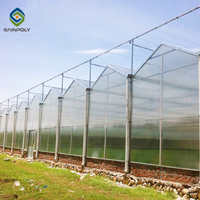 Structure de serres Sainpoly en tubes galvanisés, serre en polycarbonate, système de ventilation de serre