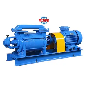 2SK Electric Double Stage Water Circulating Vacuum Pump Industrial Liquid Ring Vacuum Pumps and Compressors