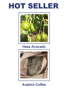 Pelvea - Semillas de Sésamo Tanzano de Grado Alimenticio al por Mayor, Opciones Blancas/Negras, Suministro a Granel, Listas para Comer - Product Image 4