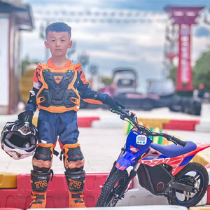 <span class=keywords><strong>Moto</strong></span> électrique à 2 roues T 36V, <span class=keywords><strong>mini</strong></span> <span class=keywords><strong>moto</strong></span> de course avec moteur de 500W, <span class=keywords><strong>Apollo</strong></span> RFN Warrior Kids SX-E500 - Product Image 6