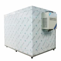 Cámara Frigorífica para Almacenar Flores con Equipo de Refrigeración, Cuarto Frío de Buena Calidad para Almacenar Huevos Frescos