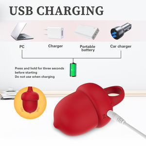 Ylove Mainan Seks Dewasa Bentuk Bola Pinus Portabel 10 Fungsi Getar Dapat Diisi Ulang untuk Titik-C Wanita untuk Vagina - Product Image 4