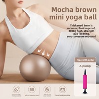 Mini ballon de yoga anti-éclatement 25 cm, petit ballon de Pilates pour l'entraînement du tronc, les exercices du plancher pelvien et la physiothérapie post-partum