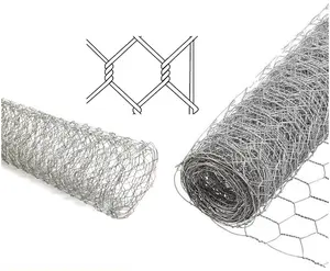 Hot Dipped Galvanized and Electro Galvanized / chicken coop hexagonal wire for animals