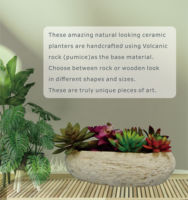 Pot de fleurs en ciment de style américain sculpté à la main, simple et élégant, pour la maison et le jardin