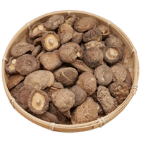 Meilleur prix pour l'extrait naturel de champignons de qualité alimentaire, poudre de champignons à 10%-50%