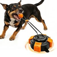 Jouet de luxe écologique pour chien avec ventouse et corde de traction en TPR, durable pour la mastication et le jeu de la corde, idéal pour les animaux en pleine dentition