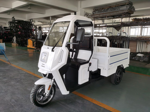 Triciclo Elettrico a 3 Ruote per Trasporto Merci, <span class=keywords><strong>Minivan</strong></span> Piccolo, Cassone Aperto, Carico Utile 400kg, Autonomia 50-70km, Consegna al Magazzino - Product Image 5