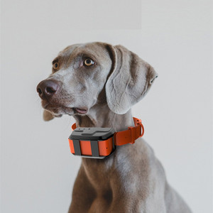 Nouveau traceur GPS pour chien de chasse, traceur GPS étanche pour animaux de compagnie, collier de suivi GPS pour chiens de chasse, traceur GPS mini pour chasseurs - Product Image 2