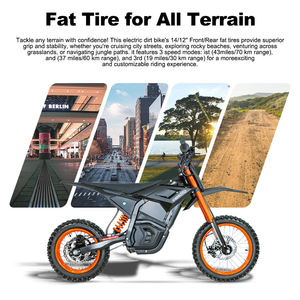 Bicicleta Eléctrica de Montaña para Adultos, 48V 21Ah, Batería de Litio, Pantalla LCD, 3 Velocidades, Motor en el Buje Trasero, CEM-AEB44 - Product Image 5