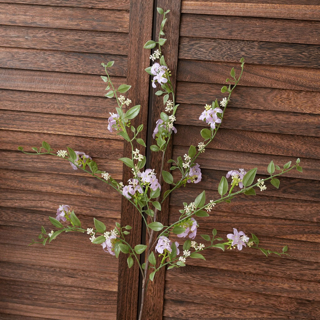 Viola