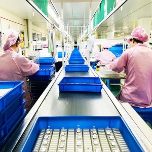 Pantalla LCD Gráfica Mini FSTN de 128x64 de Golden Vision, Pantalla <span class=keywords><strong>Monocrom</strong></span>ática COG Pequeña Personalizada para Máquina de Llenado Negativa - Product Image 5