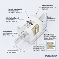 Fusible à lame NT00C, fusible HRC, 63A, 500V AC, capacité de coupure 120kA, certifié IEC 60269, corps en céramique, puissance industrielle