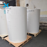 Gran Cantidad de Material Base para Etiquetas de PVC/Vinilo/PE Personalizables, Directo de Fábrica, Rollo Jumbo de Gran Volumen para Impresoras Comerciales