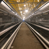 Cage de poulet double couche, équipement agricole avec Design de maison de poulet