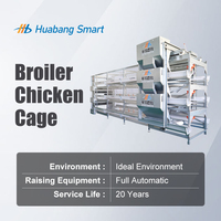 Système de cages automatiques de type H pour poulets de chair en élevage avicole avec équipement d'évacuation du fumier pour l'élevage à haute densité Huabang