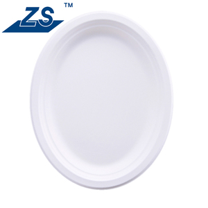 Plato de Pulpa de Bagazo Desechable de Diseño Moderno y Alta Resistencia, 100% Compostable y Biodegradable para Restaurantes - Product Image 4