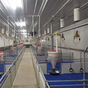 Thiết bị Nuôi Lợn được thiết kế cho trang trại lợn - Product Image 2