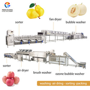 Línea de Procesamiento de Frutas Personalizada con Máquina de Lavado, Secado y Clasificación, Solución Completa para Planta de Limpieza y Clasificación de Frutas, 5 TPH - Product Image 6