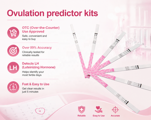 <span class=keywords><strong>Test</strong></span> de prédiction de l'<span class=keywords><strong>ovulation</strong></span> rapide LH, bandelette de <span class=keywords><strong>test</strong></span> de fertilité urinaire pour identifier les jours fertiles - Product Image 6