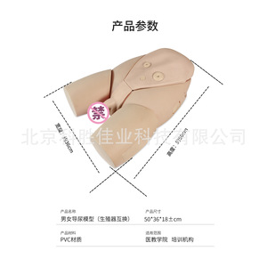 Modèles avancés de cathétérisme masculin et féminin ; modèles de formation au cathétérisme ; pratique des opérations de drainage de la fistule ; pratique de la drainage fessier - Product Image 3