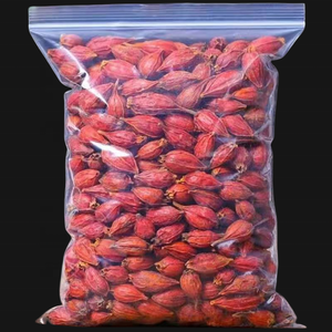 Proveedor mayorista Zhi Zi especias y hierbas secas Fructus Gardeniae nuevos cultivos semillas Rojas secas <span class=keywords><strong>de</strong></span> Fructus Gardeniae - Product Image 6