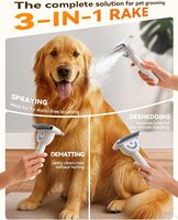 Brosse démêlante et anti-chute pour animaux de compagnie 2026, à vapeur, double face, pour chiens et chats à poils longs, avec batterie lithium-ion – Vente en gros