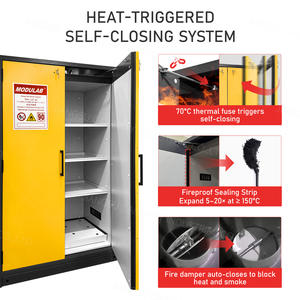 ארון בטיחות כימיים למעבדה, דגם Cartmay EN 14470-1 סוג-90, 45 גלון, 2 דלתות, עם מנעולים, לאחסון חומרים דליקים. - Product Image 5