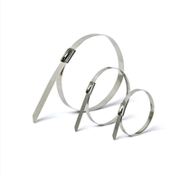 Attaches en acier inoxydable 304, 100 pièces, 4,6*300 mm, attaches métalliques pour clôtures extérieures et applications de fixation