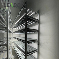 Équipement de plantation, support en profilé d'aluminium multicouche, système hydroponique à flux et reflux, table de culture à plateau de 4x8, bac à semis