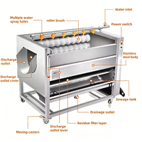 Borstelrol Cassave Reinigingsmachine Fruit Groente Wasmachine Elektrische Gember Aardappel Was- en Schilmachine