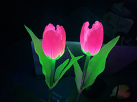 Lampu LED RGB Bunga Taman Plastik Tahan Air IP65 Panjang 70cm Natal Ra80 2700K