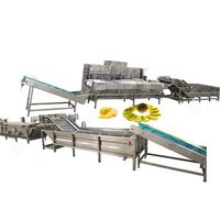 Gedroogde Automatische Ananas Appelverwerking Vriesdroge Verpakking Banaan Knapperige Appelchips Maken Machine Productielijn