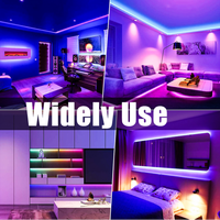 Bande lumineuse LED COB adressable ESANN DC24V 576LEDs/mètre 16,4 pieds/5 m 8 mm, vente directe, résistante à la chaleur, pour chambre à coucher