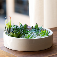 Grand pot de fleurs rond avec support en bois et soucoupe Jardinières blanches Cactus et conteneur de plantes avec drainage intérieur