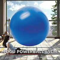 Ballon de yoga antidéflagrant MJD-WG147-65 de haute qualité en PVC épais, équipement d'exercice anti-pression pour studio de Pilates