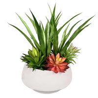 Fabricant Oh Arts Vente en Gros Plantes de Simulation Plantes Succulentes Artificielles Avec Pot Exquis Pour Décoration de Fenêtre