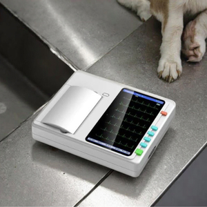 Bệnh Viện cụ ecg601 xách tay 12 kênh 3 <span class=keywords><strong>6</strong></span> 12 chì electrocardiograma <span class=keywords><strong>ECG</strong></span> máy cho bác sĩ thú y - Product Image 2