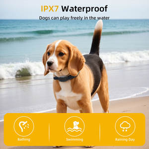 <span class=keywords><strong>Collar</strong></span> de entrenamiento para mascotas con pantalla a Color, ligereza portátil para perros pequeños, productos de comportamiento de entrenamiento para mascotas, <span class=keywords><strong>Collar</strong></span> de entrenamiento para perros pequeños - Product Image 6