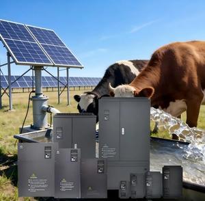 ปั๊มน้ำพลังงานแสงอาทิตย์แบบออฟกริด AC 220V/380V 0.4kW~1400kW พร้อมระบบควบคุมระยะไกลผ่าน GPRS  ระบบขับเคลื่อนความถี่แปรผัน VFD รุ่น EV510-PV ช่วงกำลังไฟกว้าง - Product Image 4